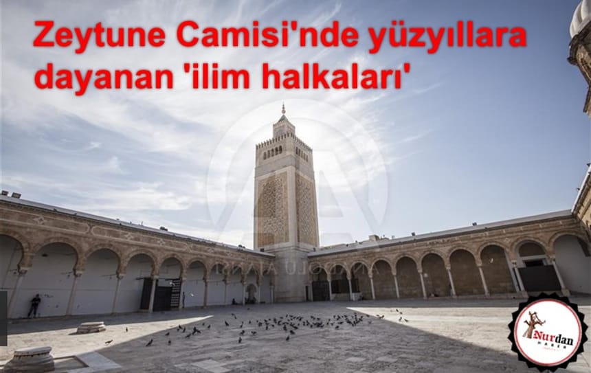 Zeytune Camisi’nde yüzyıllara dayanan ‘ilim halkaları’
