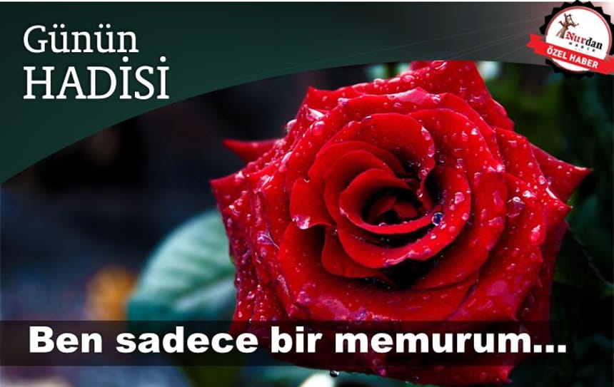 Ben sadece bir memurum