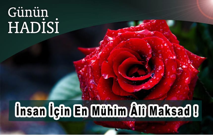 İnsan için en mühim âlî maksad