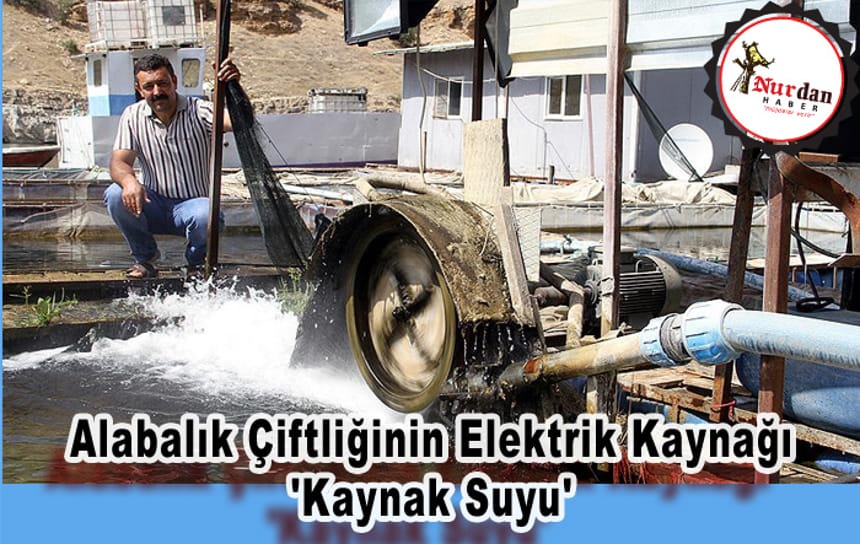 Alabalık Çiftliğinin Elektrik Kaynağı ‘Kaynak Suyu’