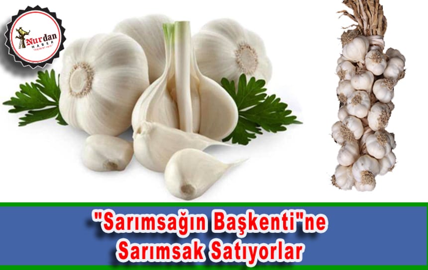 “Sarımsağın başkenti”ne sarımsak satıyorlar