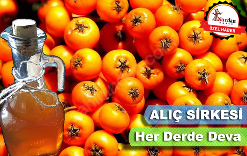 Her derde Deva Bir Mutfak Klasiği “Alıç Sirkesi”
