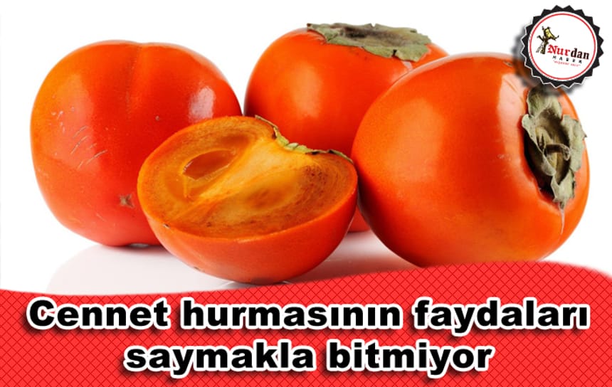 Cennet hurmasının faydaları