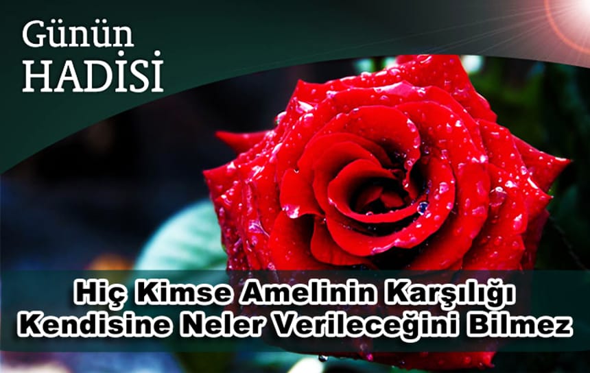 Hiç Kimse Amelinin Karşılığı Kendisine Neler Verileceğini Bilmez