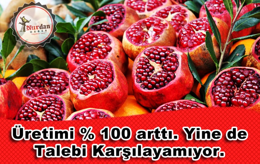 Üretimi % 100 arttı. Yine de Talebi karşılayamıyor.