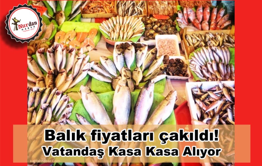 Balık fiyatları çakıldı! Vatandaş kasa kasa alıyor…