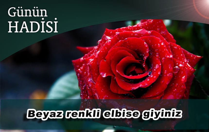 Beyaz renkli elbise giyiniz