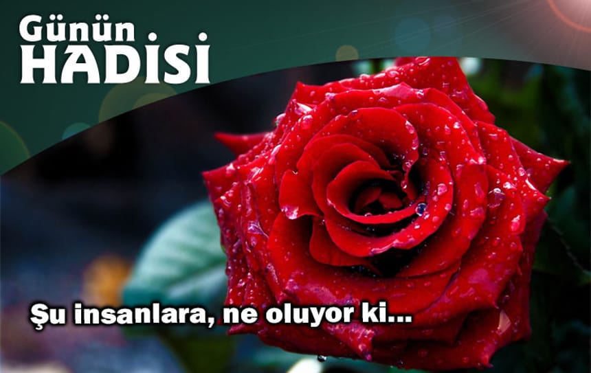 Şu insanlara, ne oluyor ki…