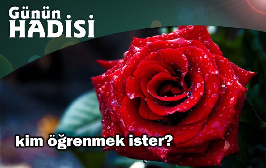 kim öğrenmek ister?