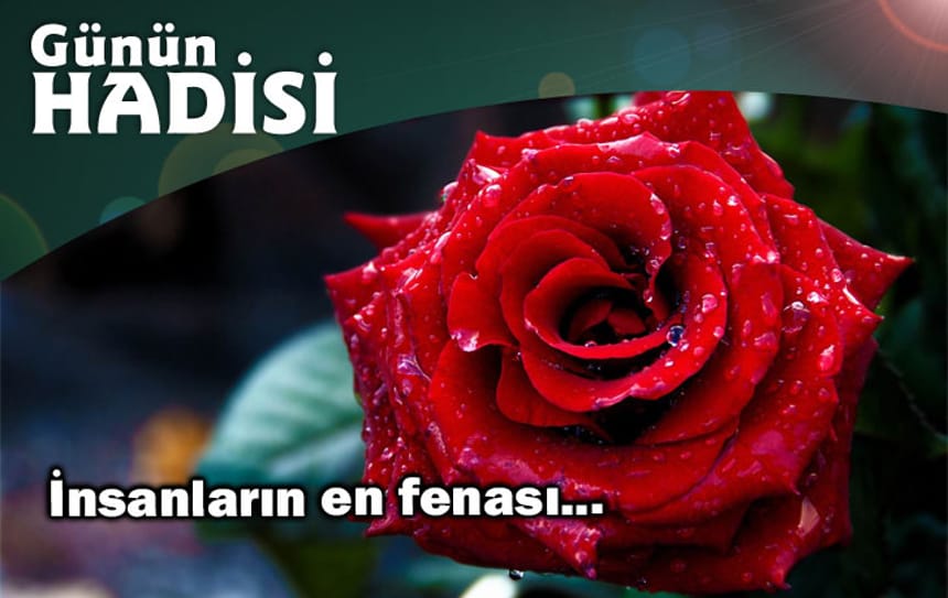 İnsanların en fenası…