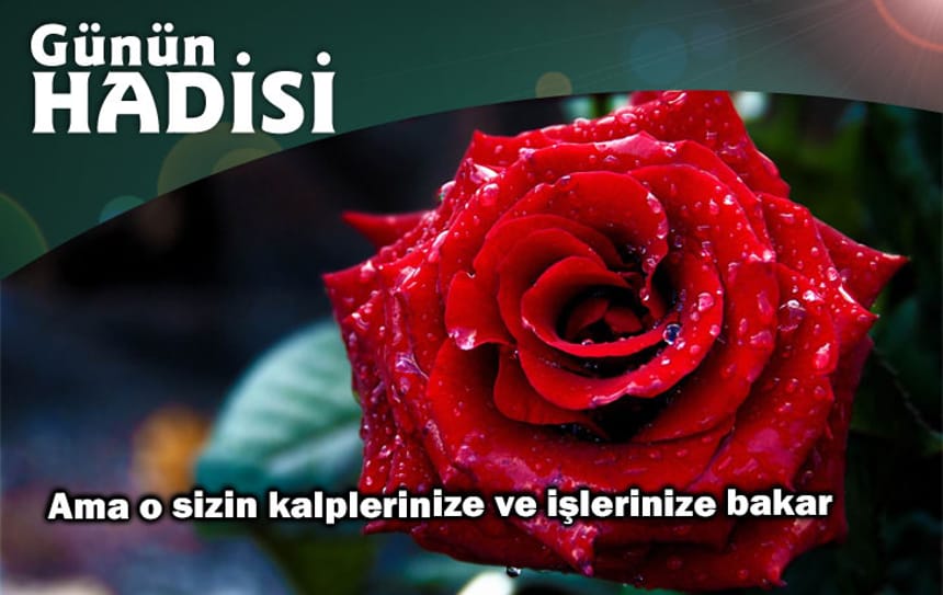 Ama o sizin kalplerinize ve işlerinize bakar