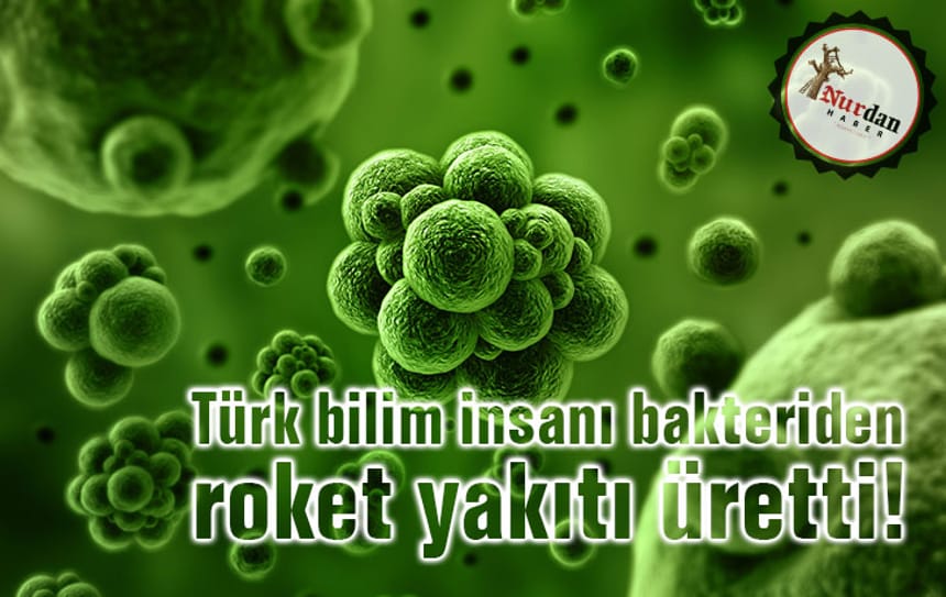 Türk bilim insanı bakteriden roket yakıtı üretti!