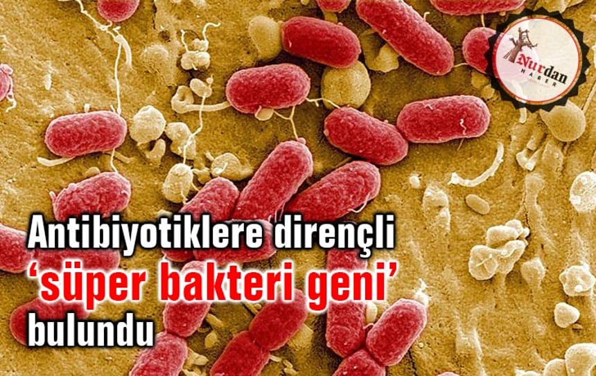 Antibiyotiklere dirençli ‘süper bakteri geni’ bulundu