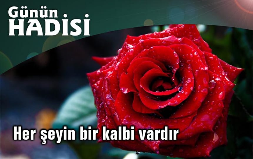 Her şeyin bir kalbi vardır