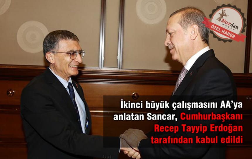 İkinci büyük çalışmasını AA’ya anlatan Sancar, Cumhurbaşkanı Recep Tayyip Erdoğan tarafından kabul edildi