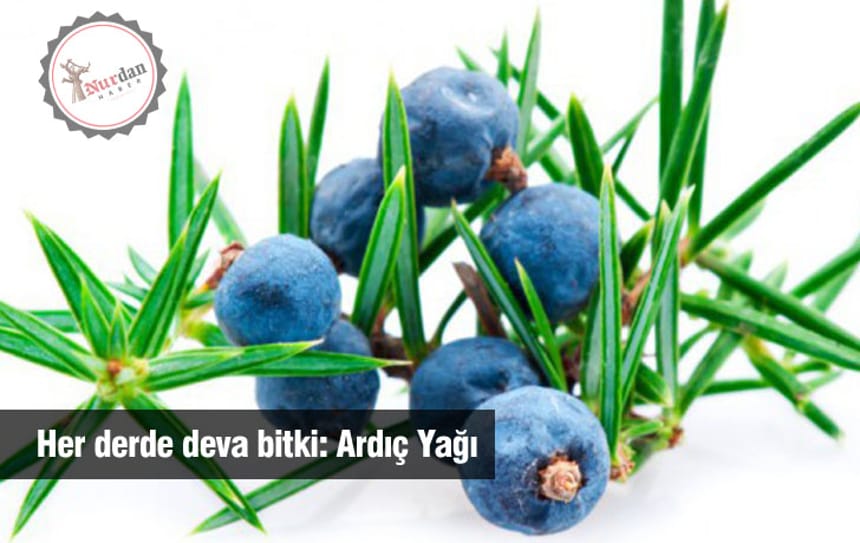 Her derde deva bitki: Ardıç Yağı