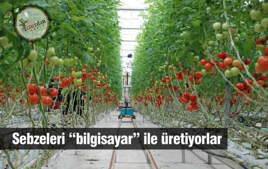 Sebzeleri “bilgisayar” ile üretiyorlar