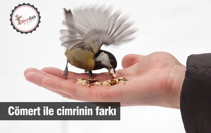 Cömert ile cimrinin farkı