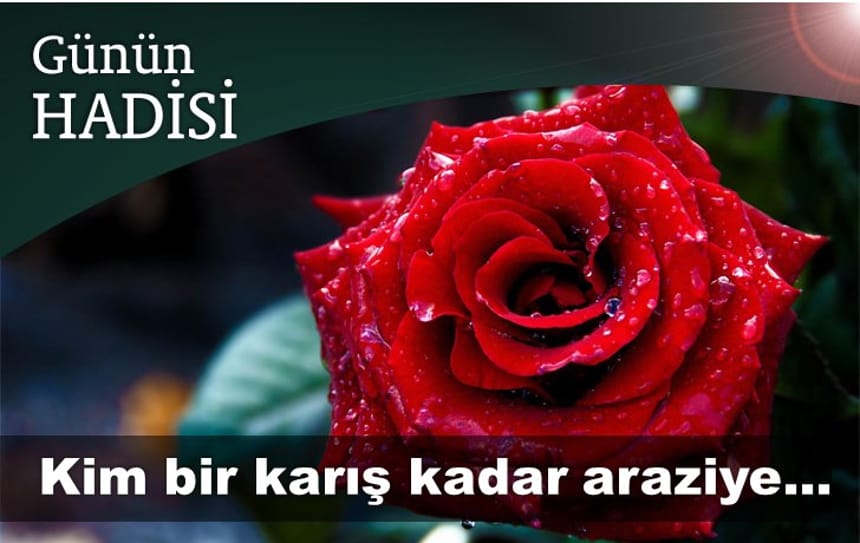 Kim bir karış kadar araziye…