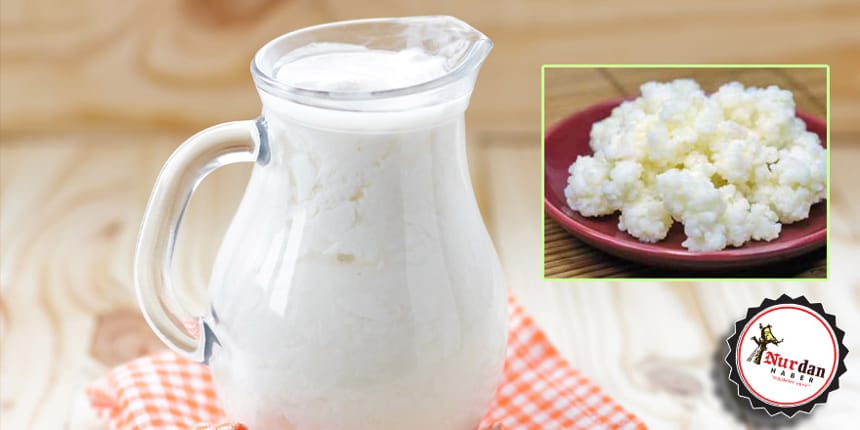 Kanser hastalarına kefir tavsiyesi