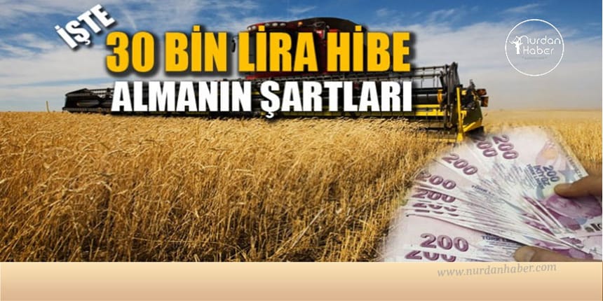Bakanlık açıkladı! 30 bin lira hibe…