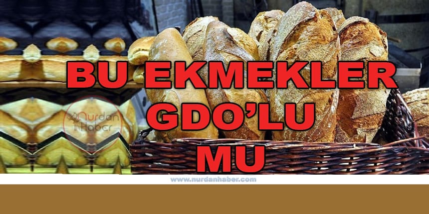 Bakan Çelik’ten ‘GDO’lu ekmek’ açıklaması