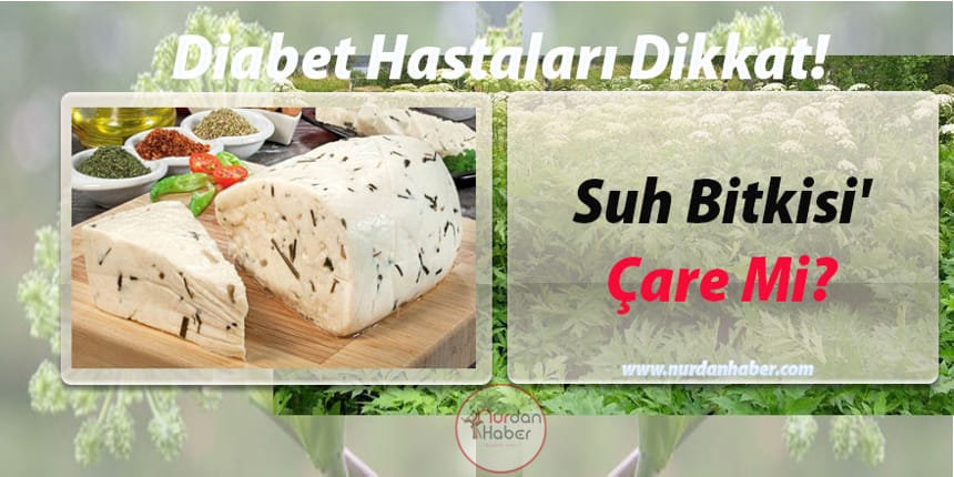 Diyabet Hastalığına Çare Olabilecek Bitki