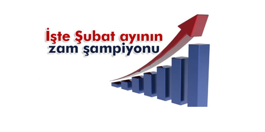 Şubat ayının zam şampiyonu