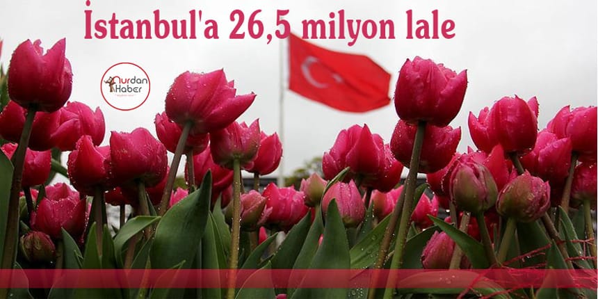 12. İstanbul Lale Festivali başladı