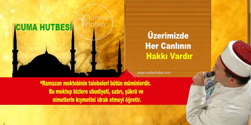 Üzerimizde Her Canlının Hakkı Vardır