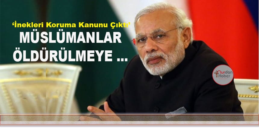 Başbakan Modi: İneklere tapma …