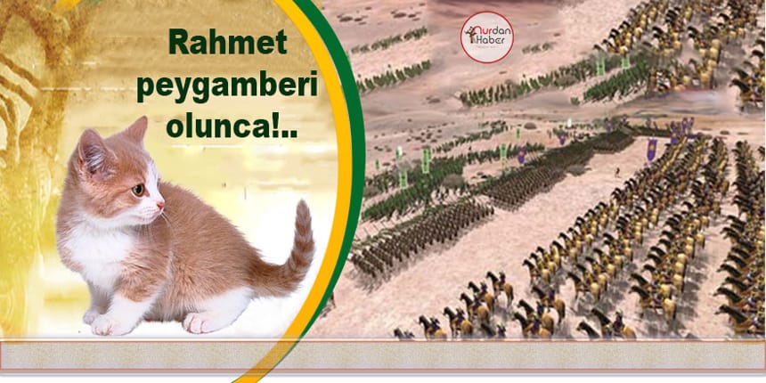 Rahmet peygamberi olunca!..