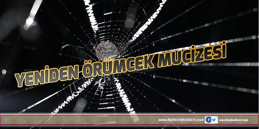 Örümcek ipeği işitme engellilere umut olacak