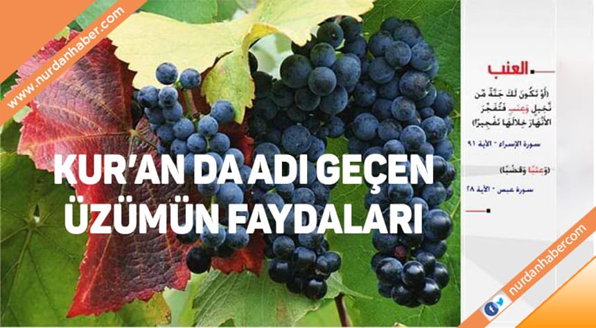 Kur’an’da adı geçen üzümün faydaları nelerdir?