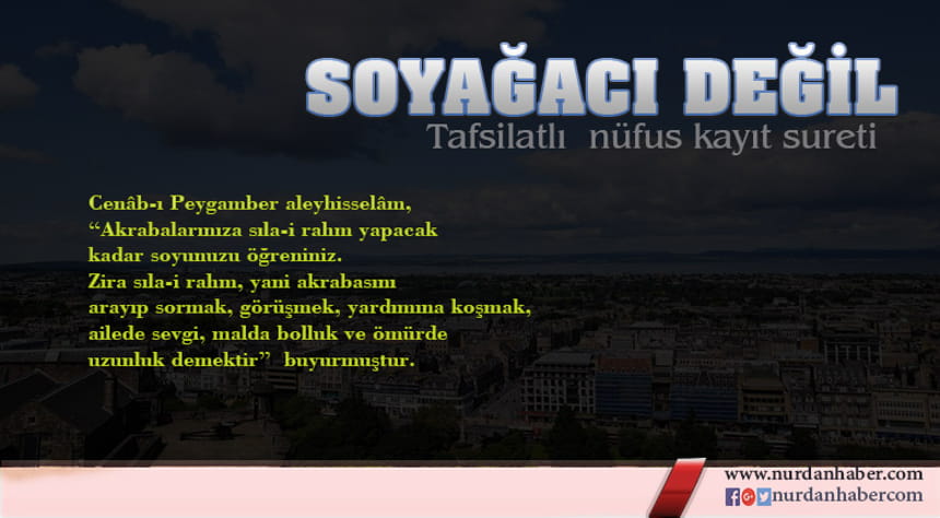 Soyağacı Furyası