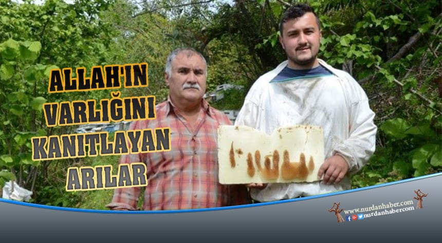 Arıların yazdığı ‘Allah’ lafzı hayrete düşürdü