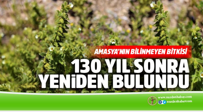 130 yıl sonra yeniden bulundu