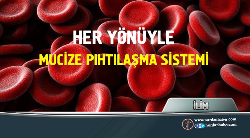 Kan pıhtılaşması nedir, nasıl olur?