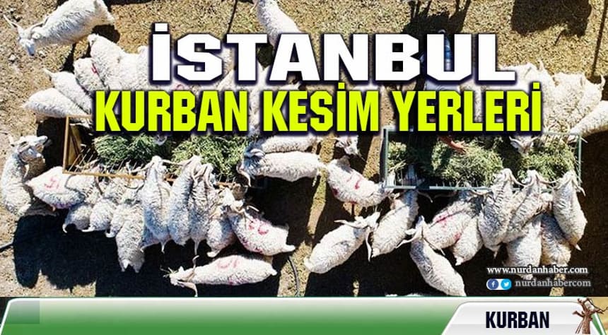 İstanbul’da Kurban Kesim ve Satış Yerleri