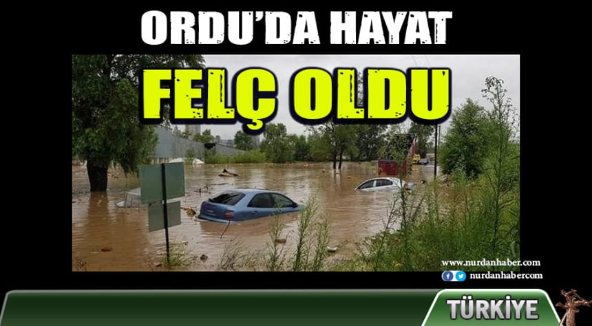 Ordu’daki sel felaketinde ağır bilanço