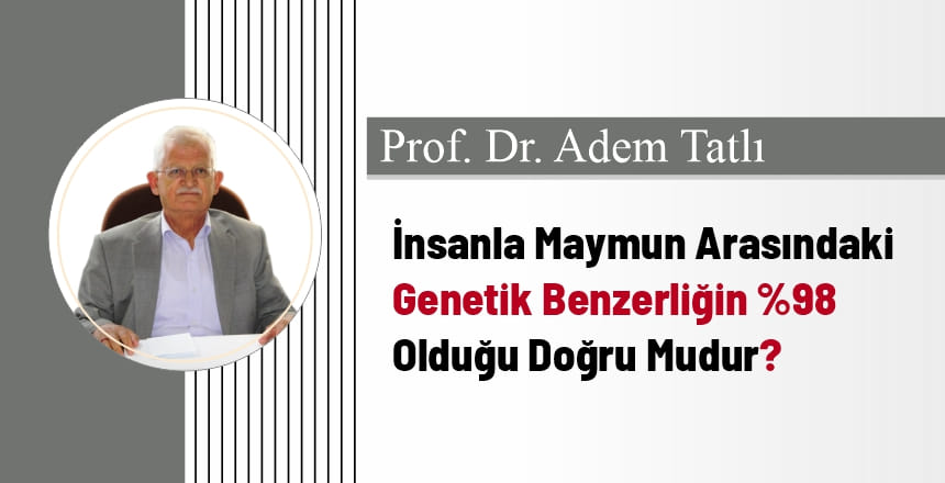 İnsanla Maymun Arasındaki Genetik Benzerliğin %98 Olduğu Doğru Mudur?